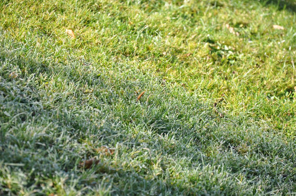 2013-12-31_03_ Impressionen_TU.JPG - (C)Thomas Ulbricht   ulbi@gmx.com